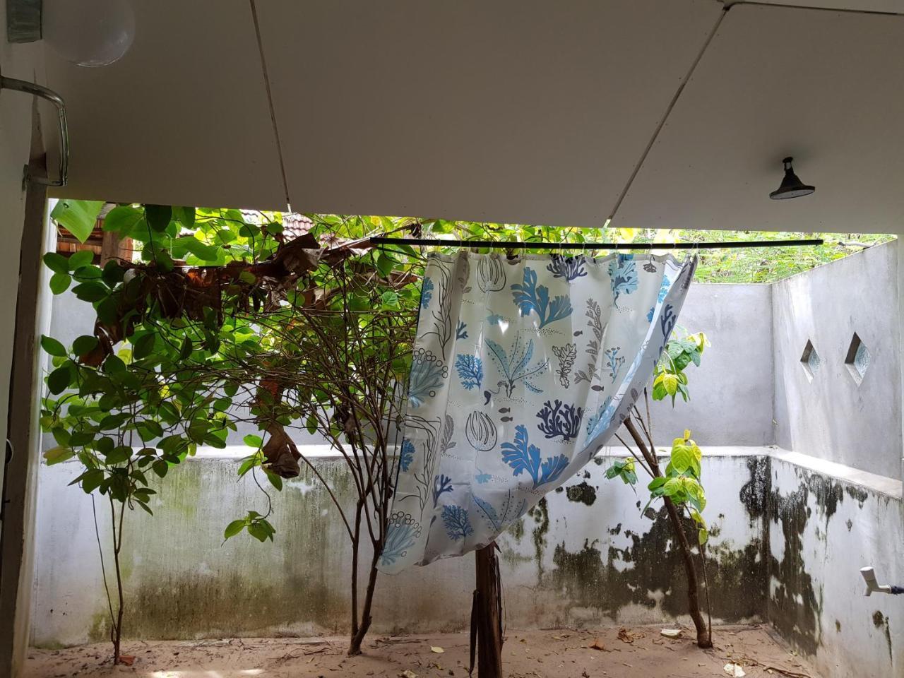 ארוגם Albero Cabanas מראה חיצוני תמונה